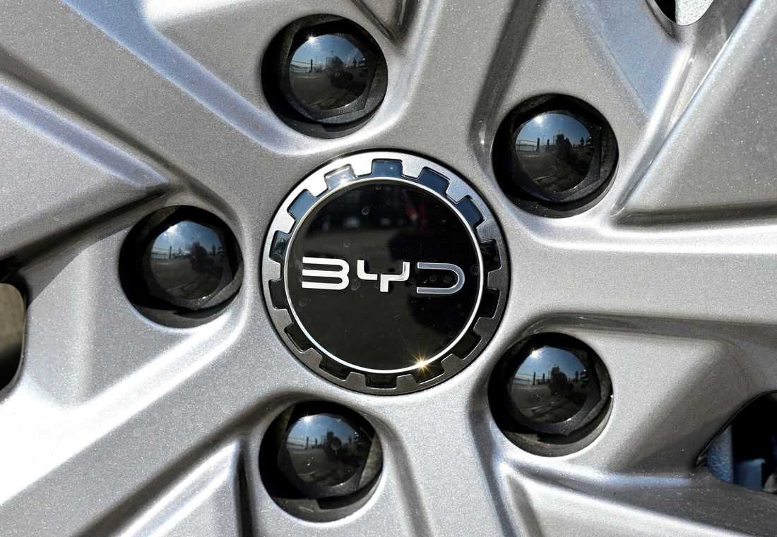BYD will eventually need three assembly plants, one battery factory in Europe, adviser says