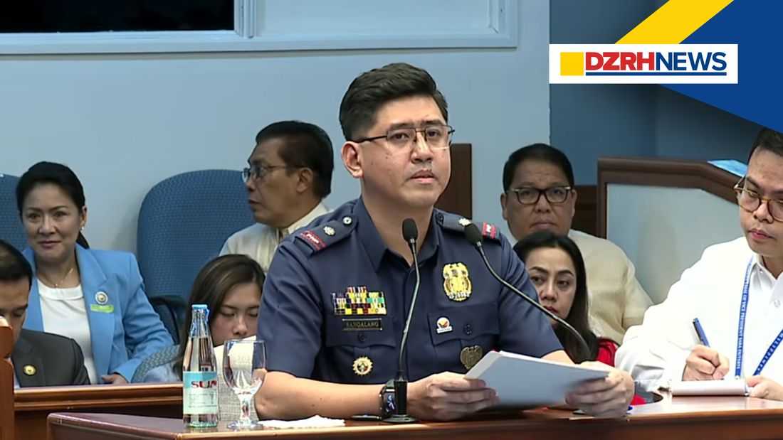 29 firearms registered to Mans Carpio — PNP Witness