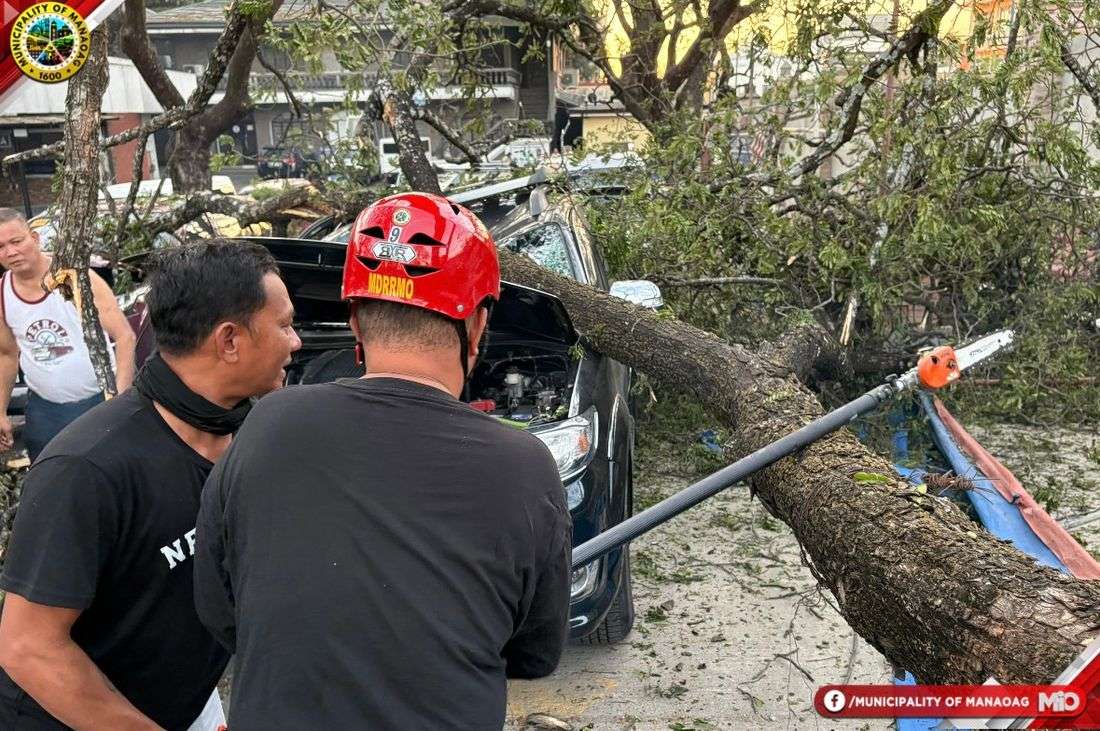Falling tree damages four vehicles at Manaoag Basilica