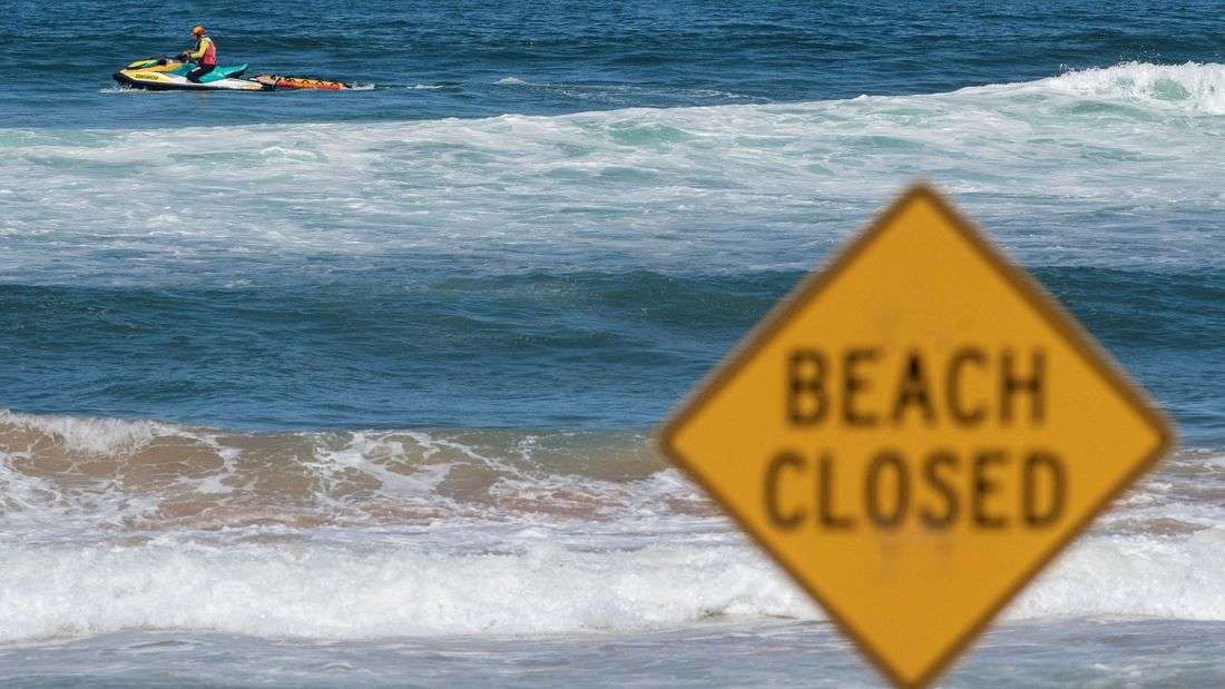 Australian boy dies after shark attack in Sydney Harbour