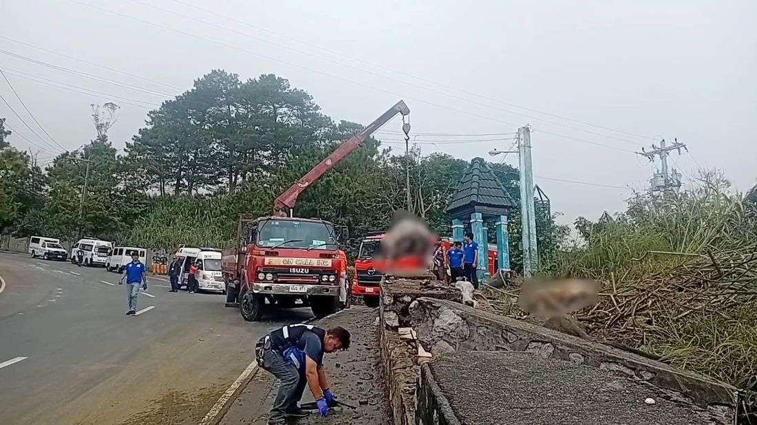 PETA mourns death of 2 people, 4 cows in Baguio truck crash