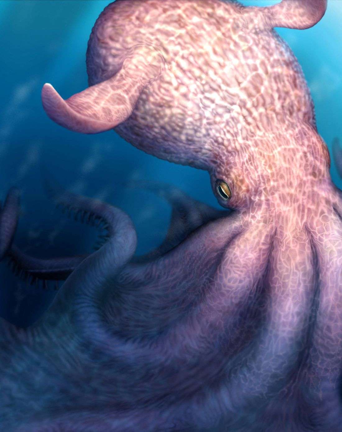 'Cretaceous Kraken' prowled the seas during the age of dinosaurs