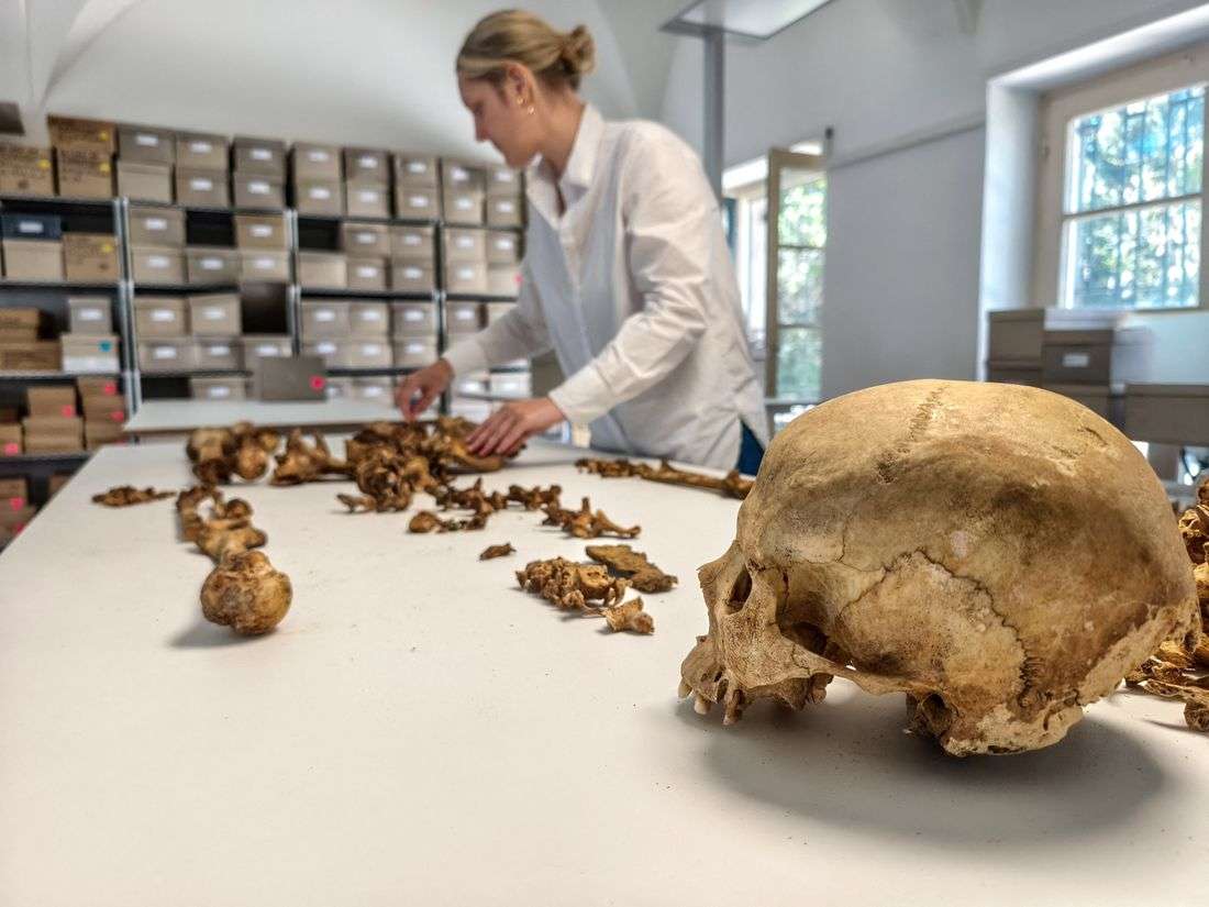 Genome study reveals what happened after the Roman Empire fell
