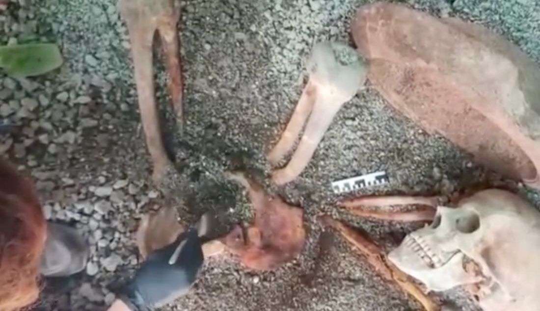 Archaeologists use AI to generate image of Pompeii victim