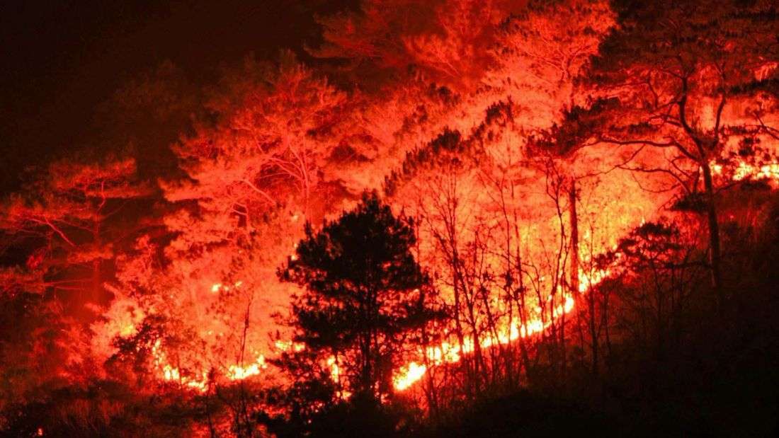 Forest fire hits mountain area in Bontoc, Mountain Province