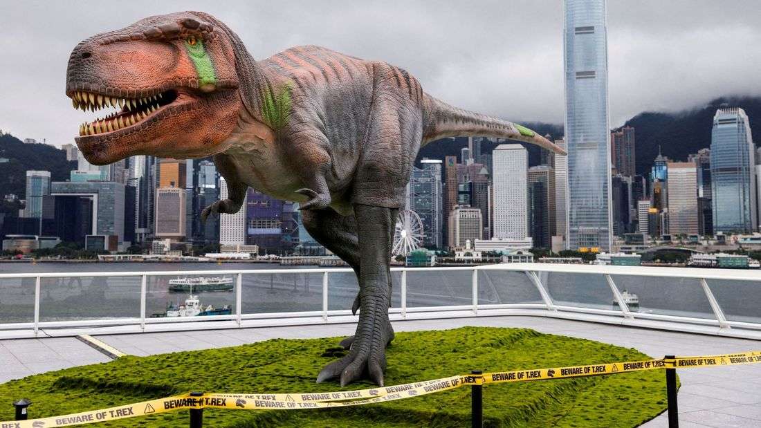 Here's how Tyrannosaurus ended up with a big head and small arms
