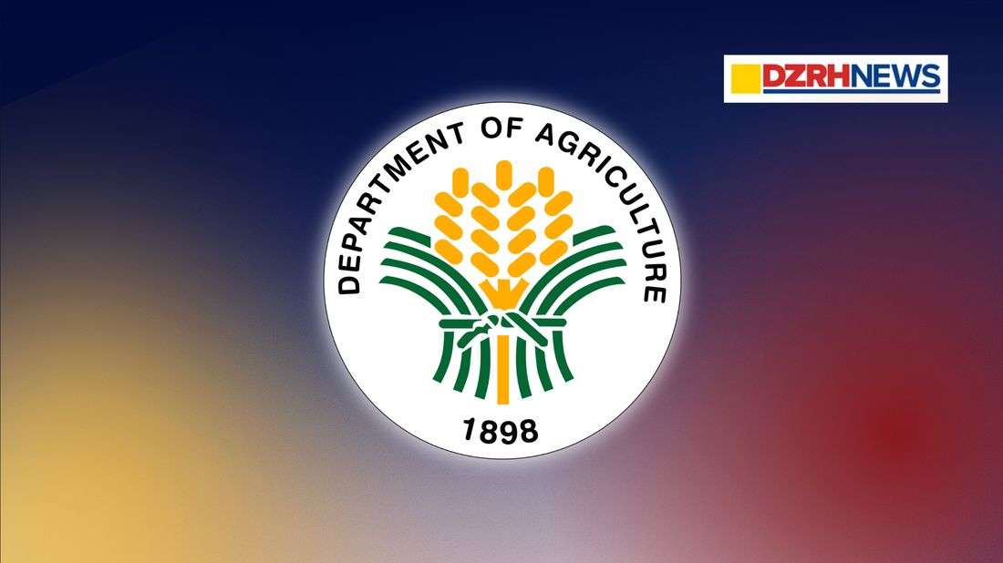 Philippines secures rice supply deal with Vietnam under new trade arrangement- DA
