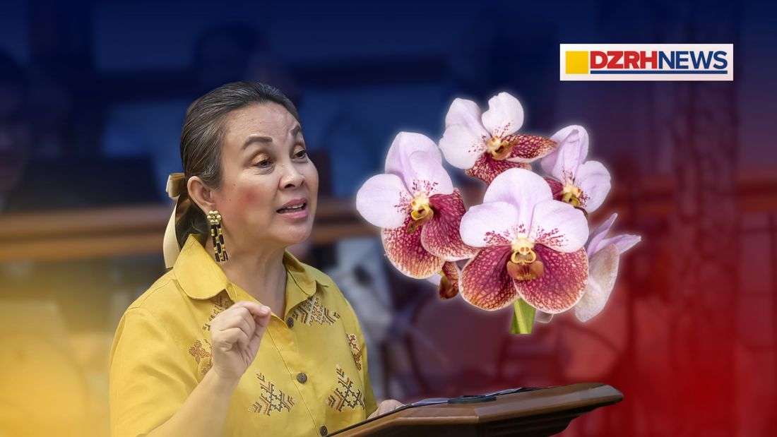 Sen. Legarda pushes bill declaring 'waling-waling' as PH national orchid to boost conservation efforts
