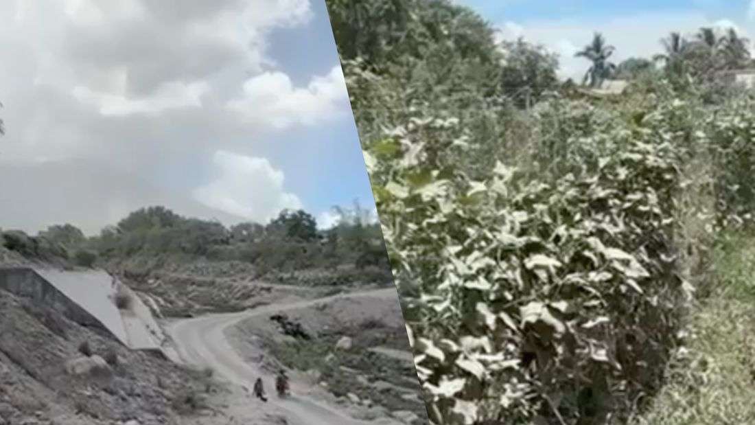 Damage to agriculture from Mayon’s unrest rises to ₱6.69M — DA-Bicol