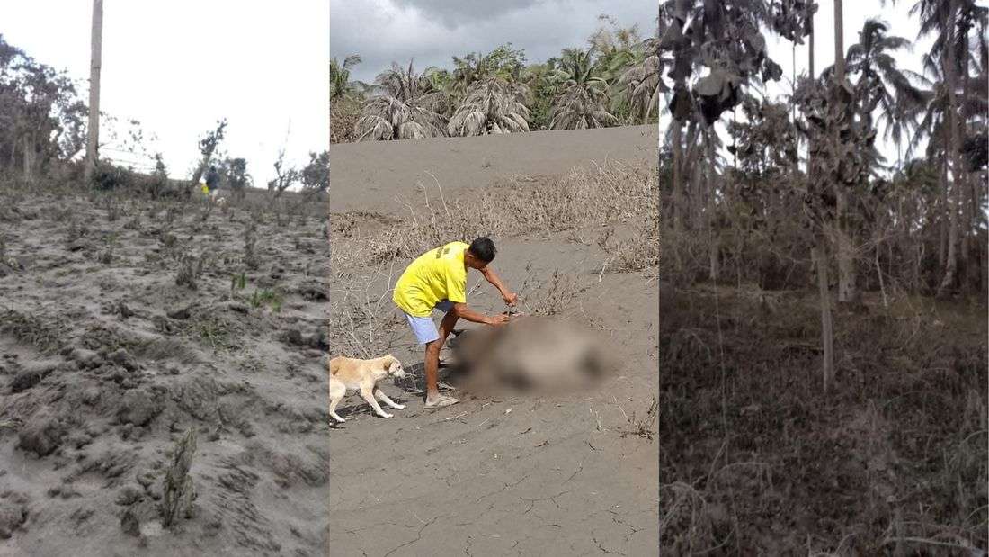 17 of 50 barangays, over 8K families in Camalig, Albay affected by Mayon ashfall — mayor