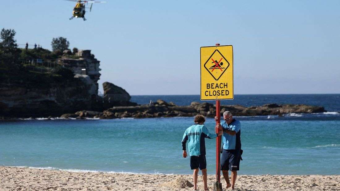 Sydney reopens beach under heavy patrols after shark attack