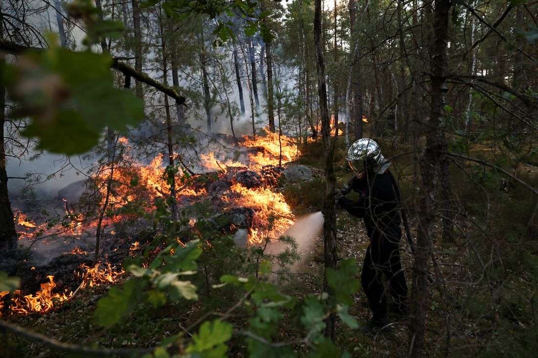 Wildfire rages near Paris as heatwave scorches Europe