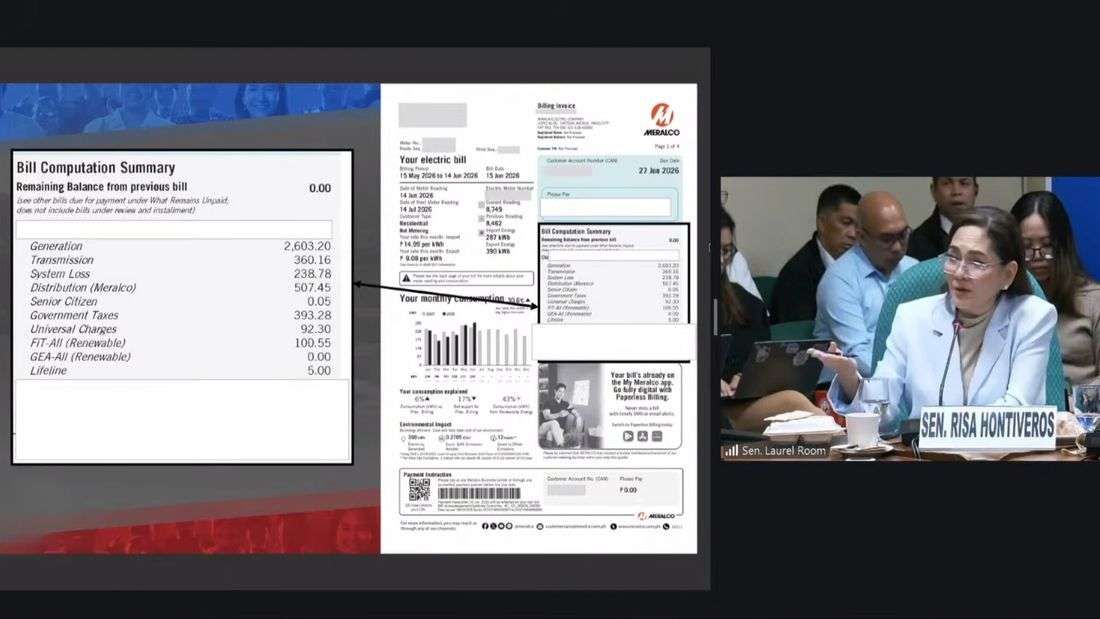 Hontiveros files bill allowing gov’t to set power rates during state of emergencies