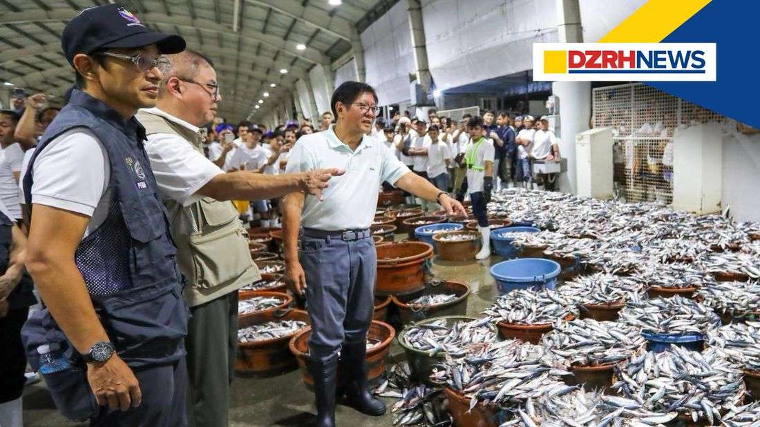 PBBM inspects Navotas fish port rehabilitation to strengthen fisheries infrastructure