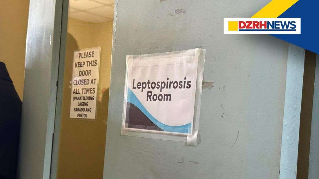 Pulmonary hemorrhage cited as major cause of death among leptospirosis patients