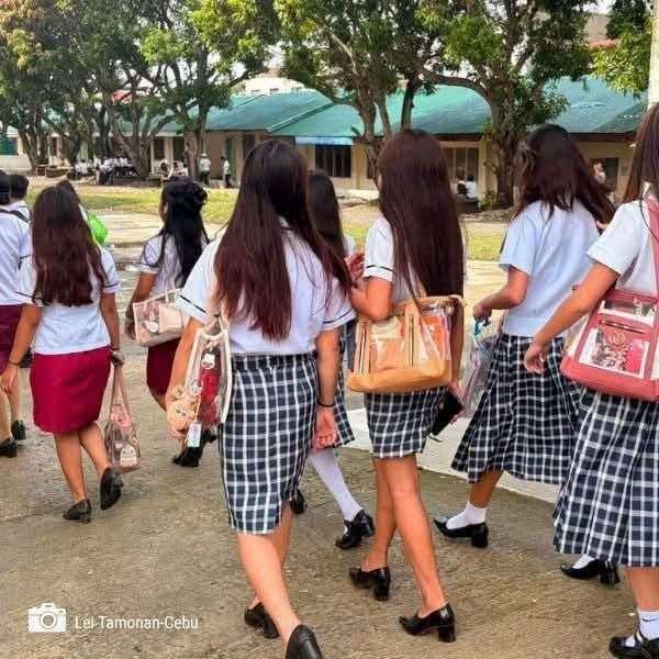 Transparent school bags eyed as security measure in Western Visayas