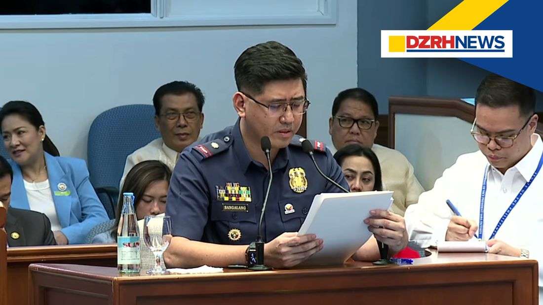 PNP witness: '22 firearms are registered to VP Duterte, including 3 fully automatic rifles'