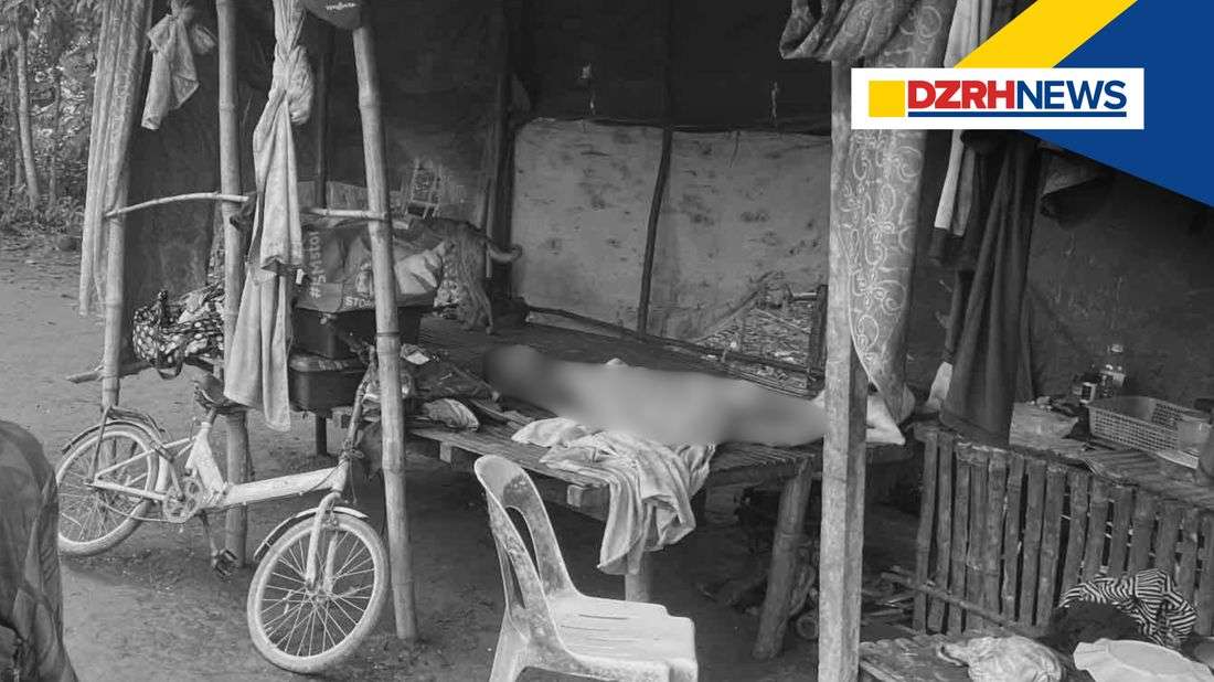 Mother arrested over alleged killing of 4-year-old son in Camiling, Tarlac