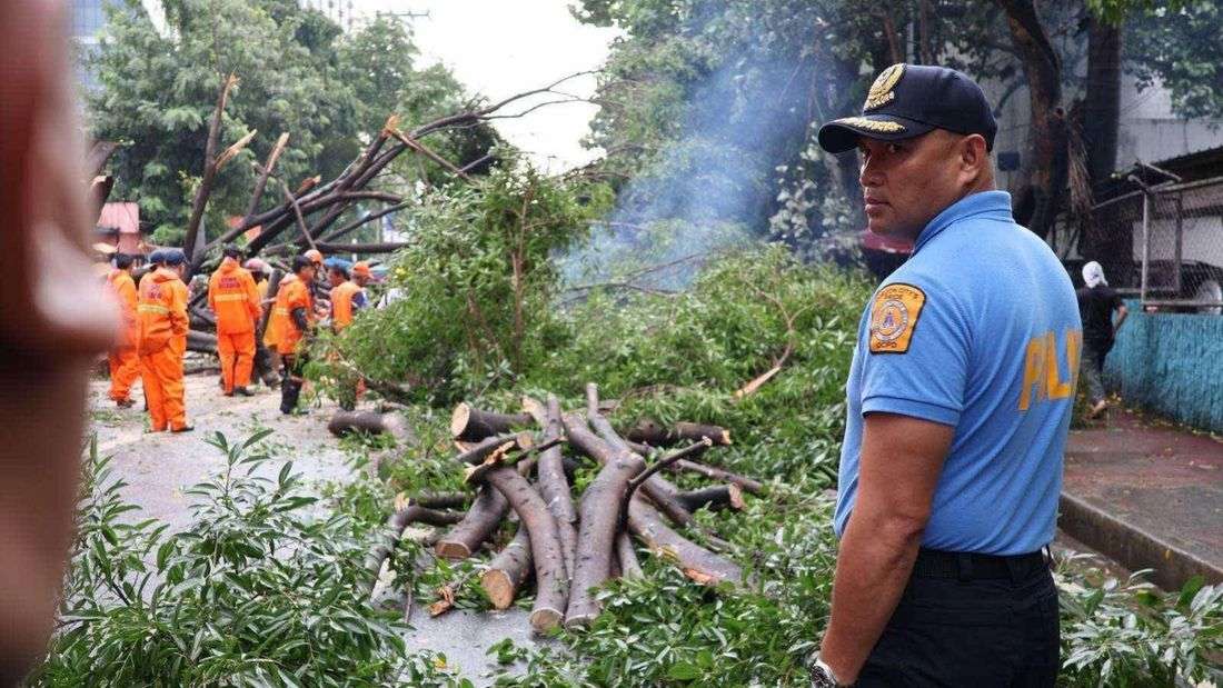 1 dead, 2 injured after tree falls in QC during heavy rain