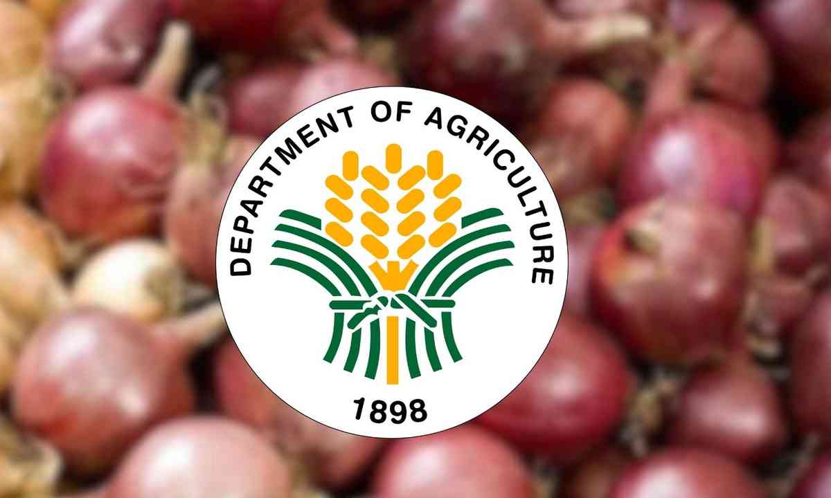 PH to open first onion research and extension center in Nueva Ecija — DA