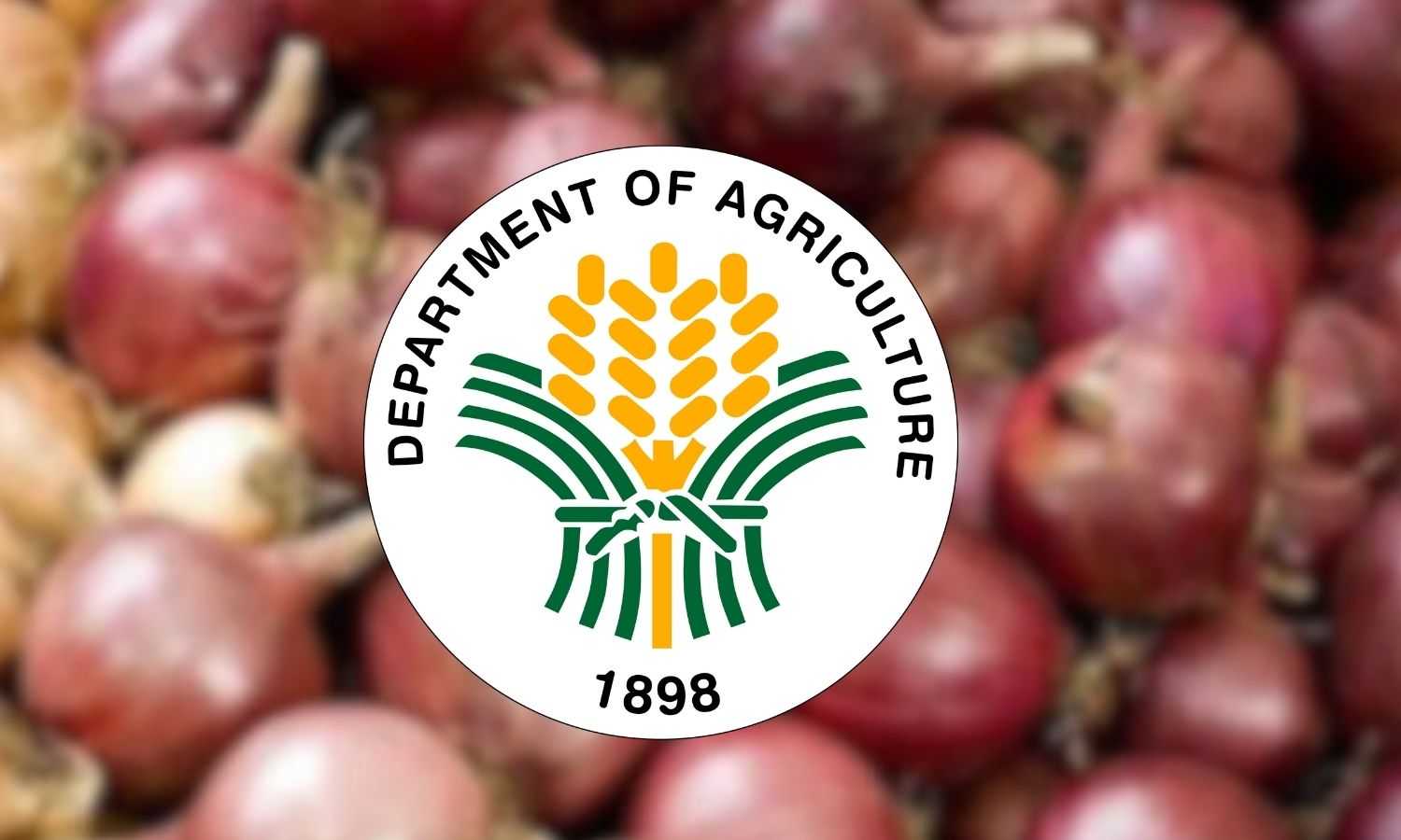 PH to open first onion research and extension center in Nueva Ecija — DA