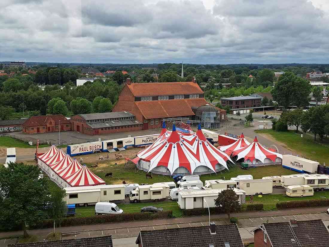 Circus acrobat plunges to her death during performance