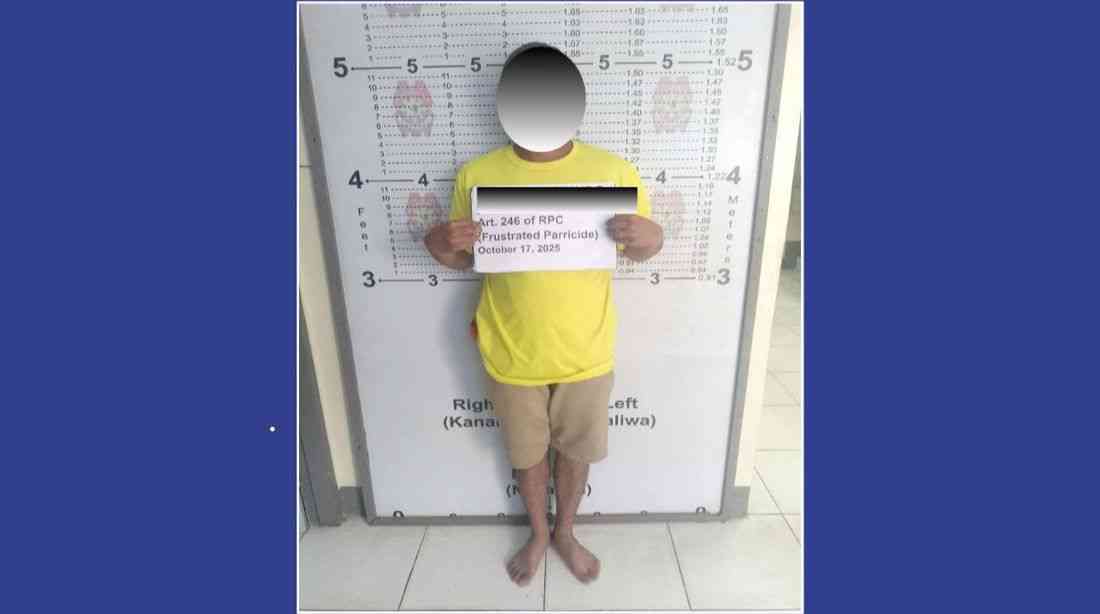 Man arrested for attacking mother with bolo knife in Laoang, Northern Samar