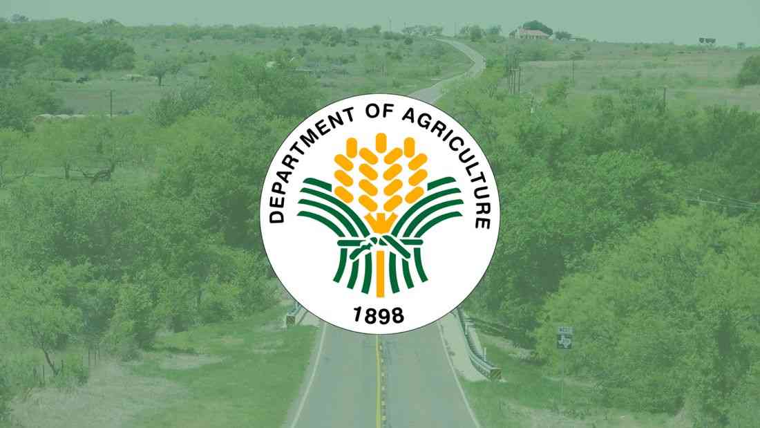 8 farm-to-market roads in Davao Occidental marked finished in 2023 remain under construction — DA