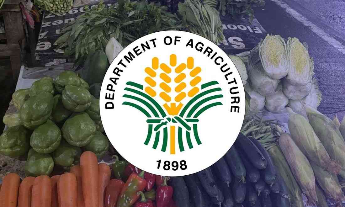 DA ready to impose price freeze after Typhoon Tino's onslaught