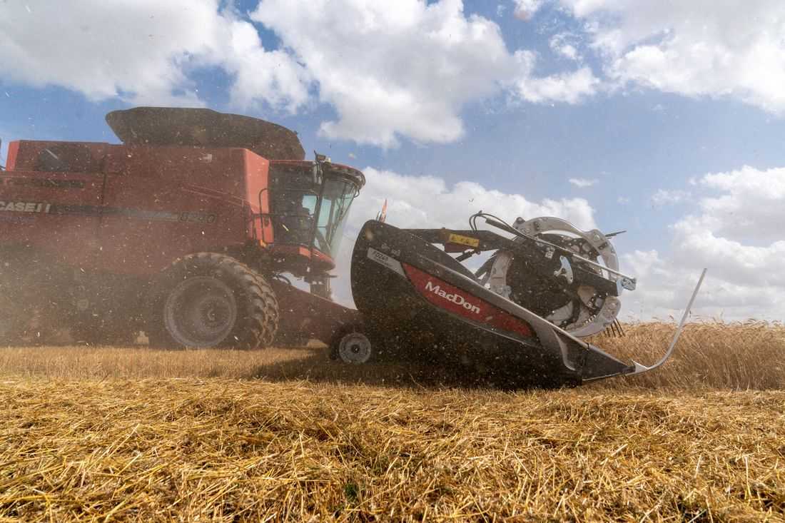 China buys two cargoes of US wheat after leaders' meeting, traders say