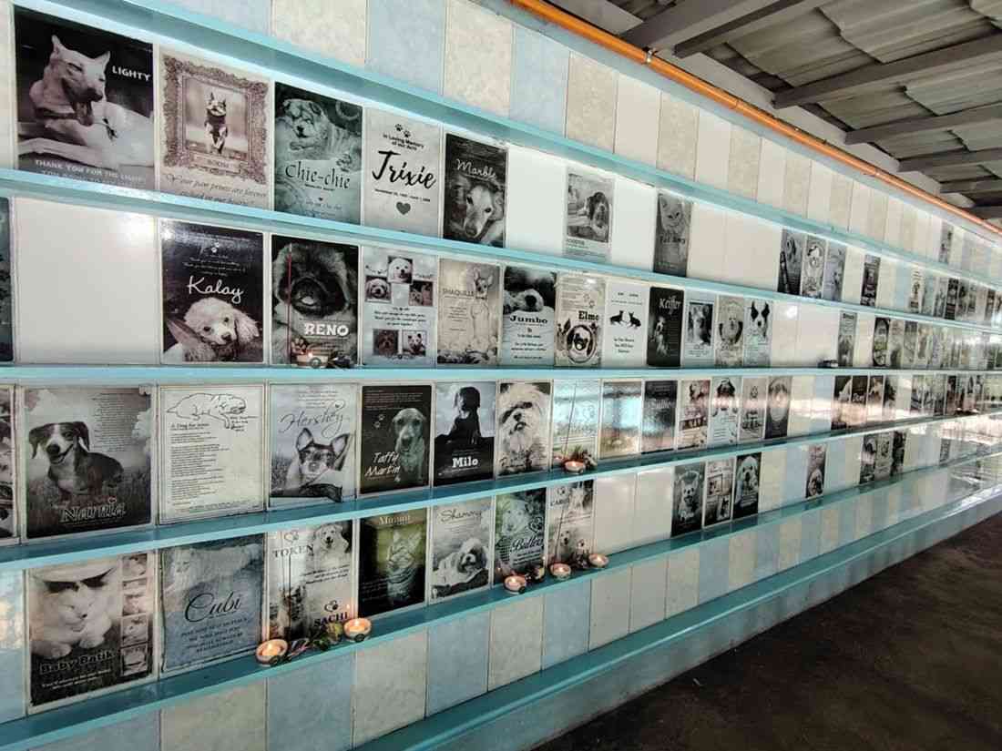 Pet owners honor their beloved animals at memorial wall in Loyola Heights, QC