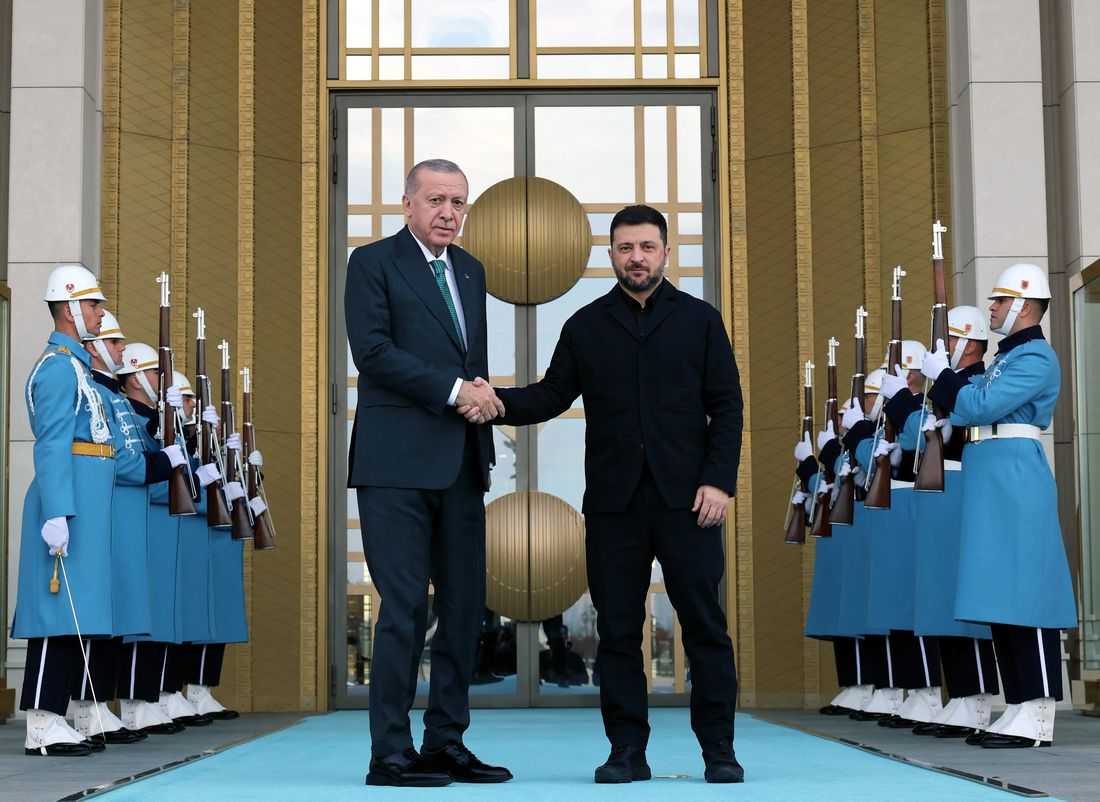 Ukraine expected to give up land, some arms under US peace plan, sources say