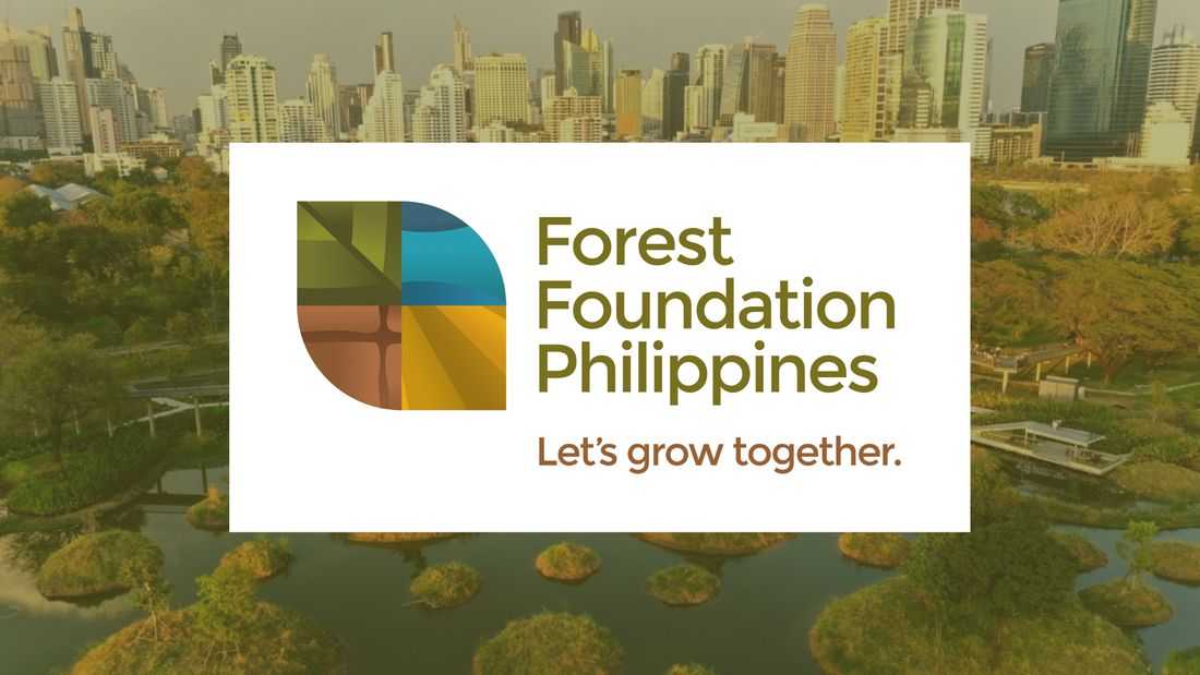 Forest Foundation urges ‘nature-based’ solutions to tackle ecological, social issues