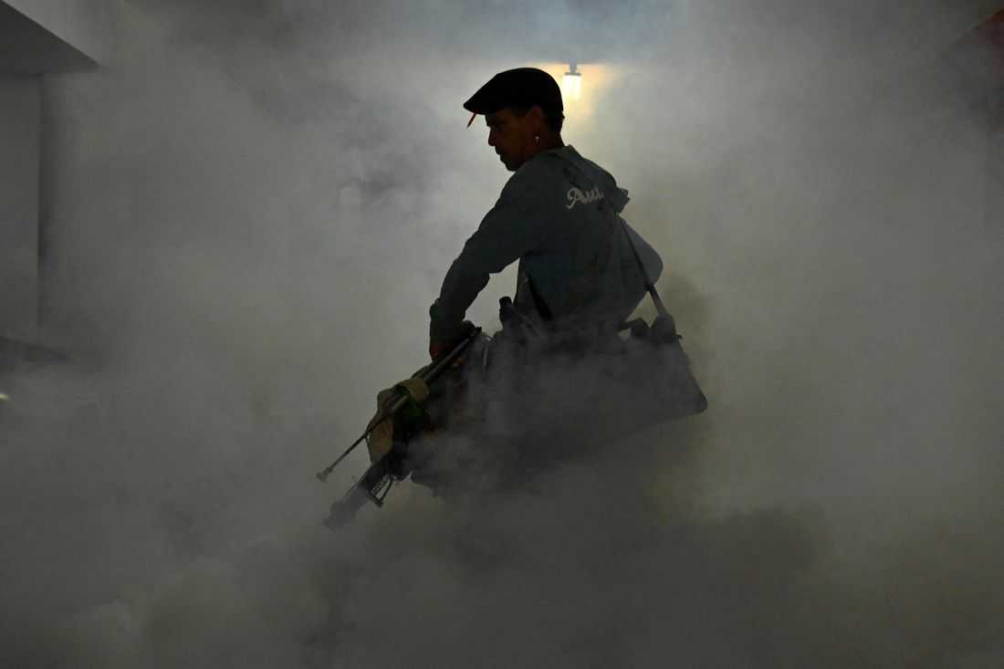 Cuba says 33 have died of mosquito-borne illnesses as epidemic rages