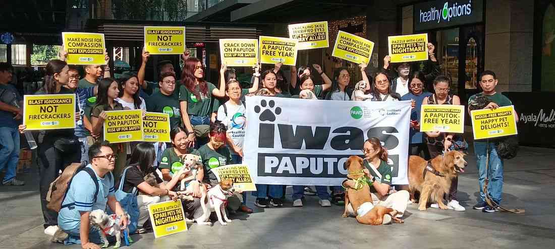 NGOs call for firecracker-free New Year celebrations to protect pets, environment