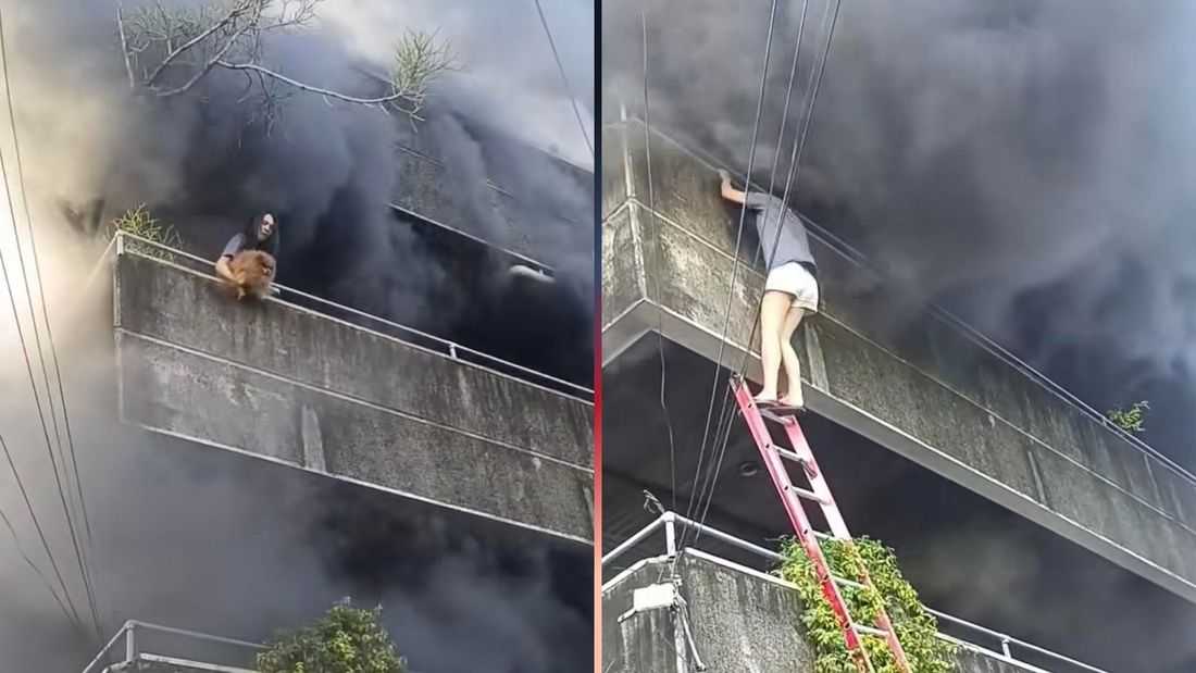 Woman praised for saving dogs trapped from burning building in Mandaue, Cebu