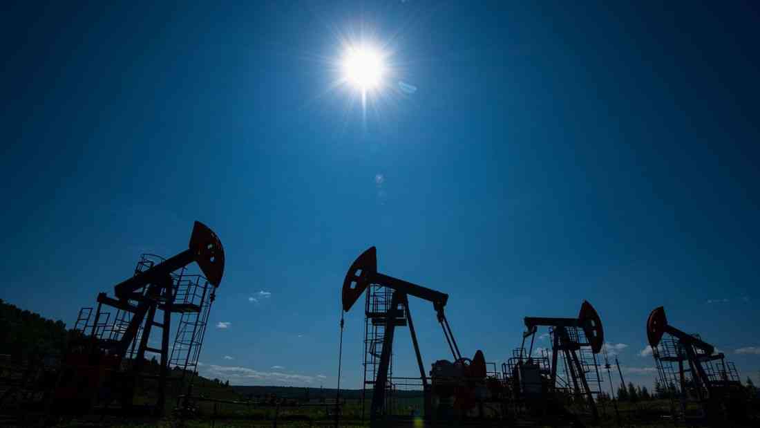Oil steady as supply concerns cap gains, market eyes Ukraine peace talks