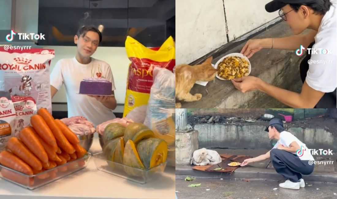 Esnyr shares birthday blessings with street cats and dogs