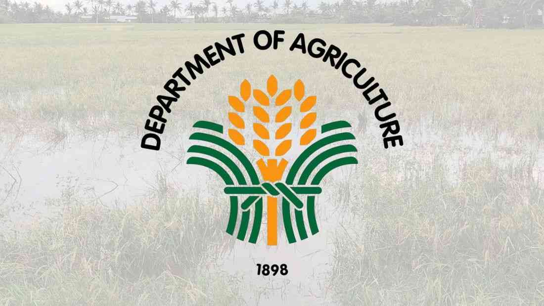 Agri damage from typhoons Opong, Nando nears ₱1.4B; Cagayan Valley worst-hit – DA