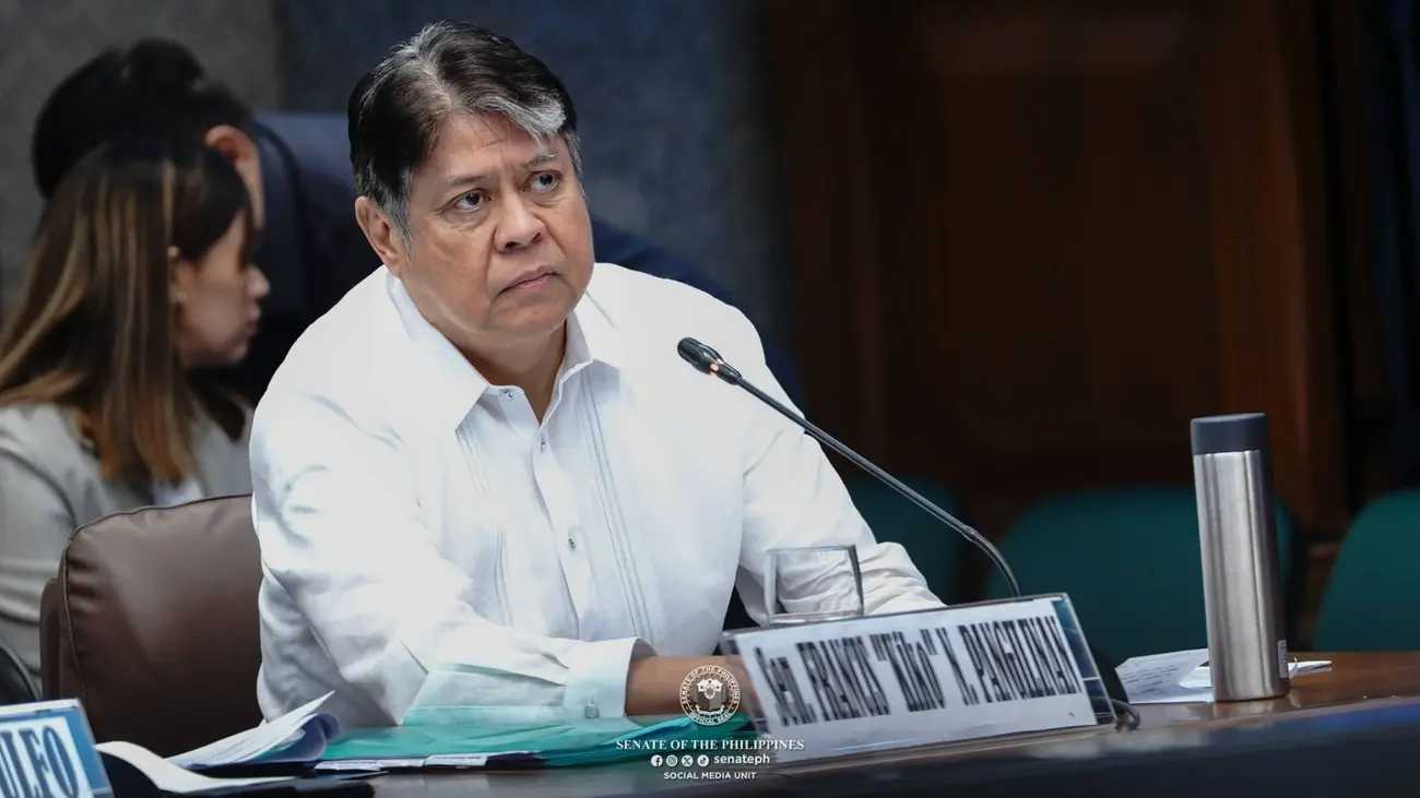 ‘Conflict of interest’: Sen. Kiko raises ‘red flag’ over Commissioner Lipana’s alleged P1.4-B insertion
