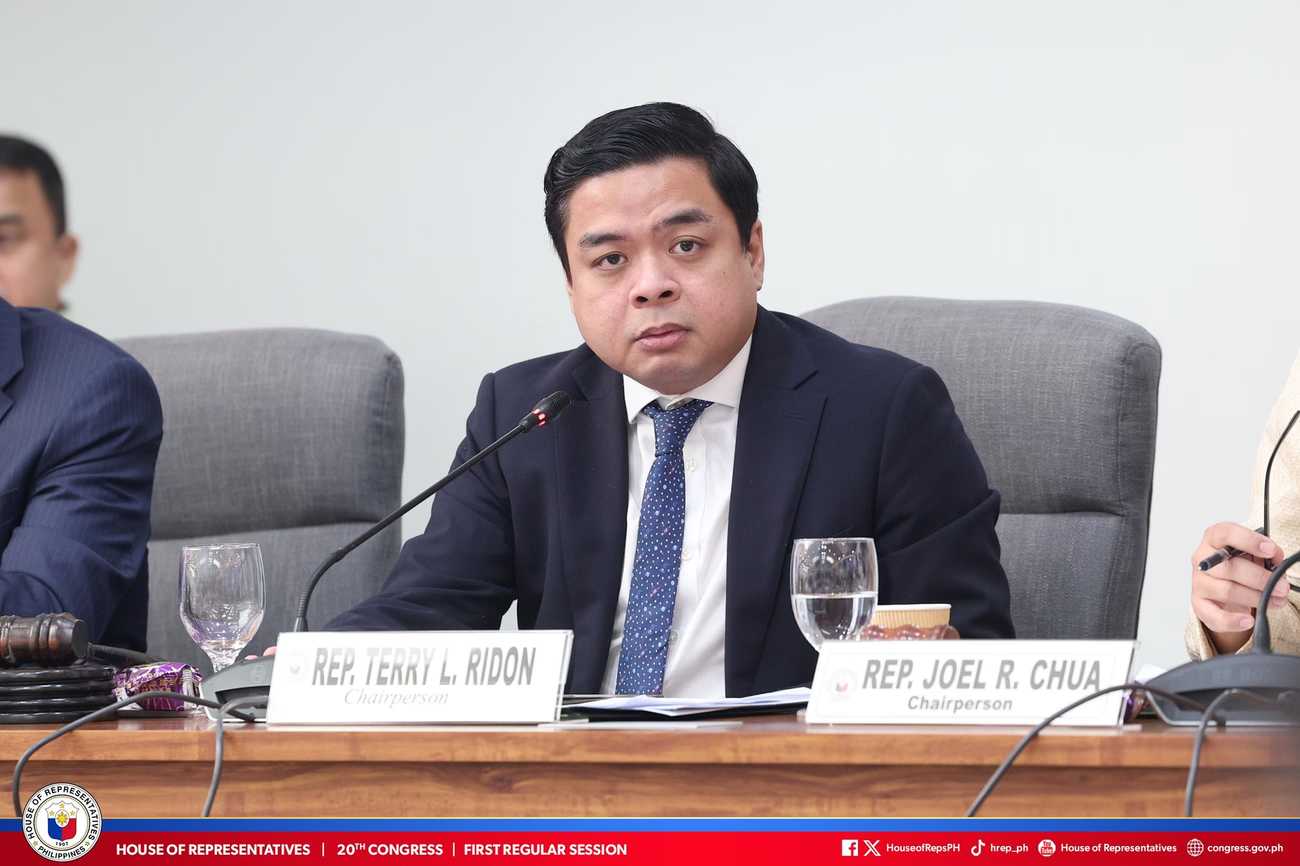 Discayas not fit to be state witnesses — Ridon