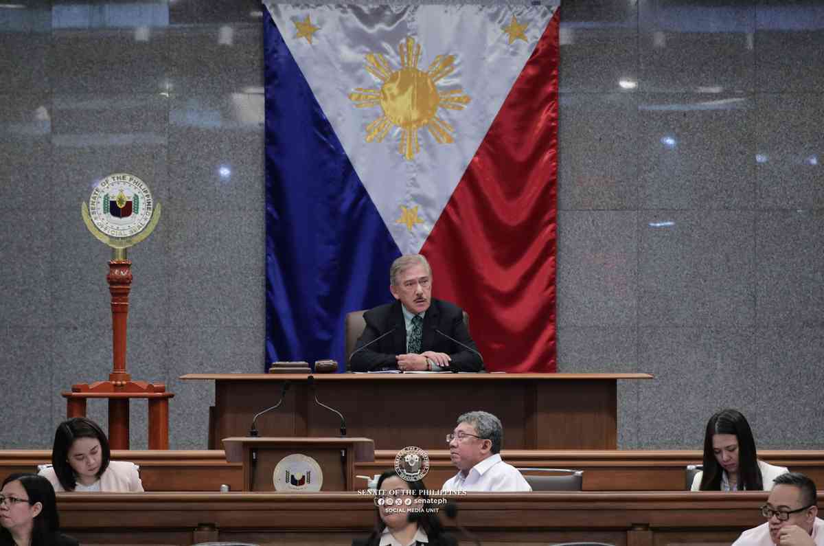 Senate elects new Commission on Appointments members, committee chairs