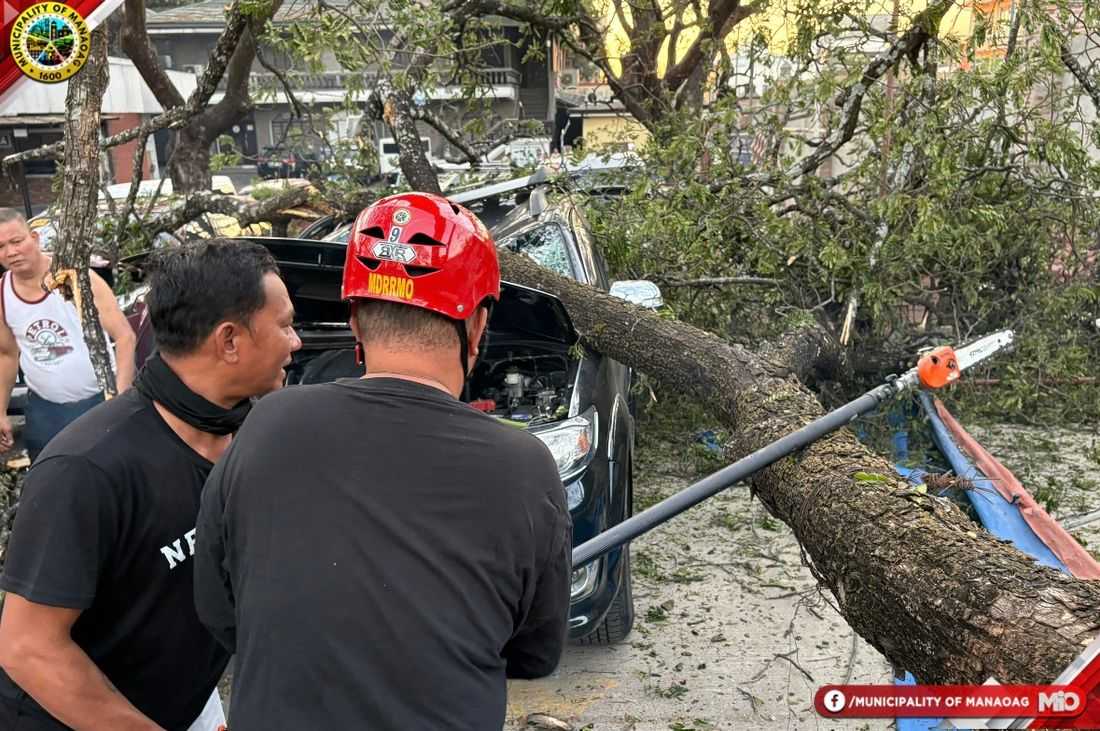 Falling tree damages four vehicles at Manaoag Basilica