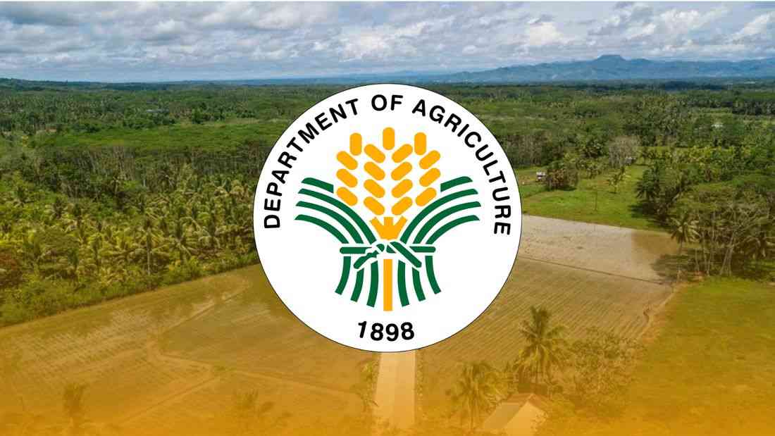 DA vows farm-to-market roads won’t suffer fate of anomalous flood control projects