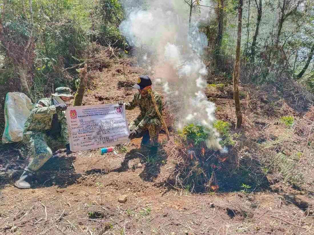 Cordillera PNP arrests 16 drug suspects, seizes ₱2.4 million in illegal drugs