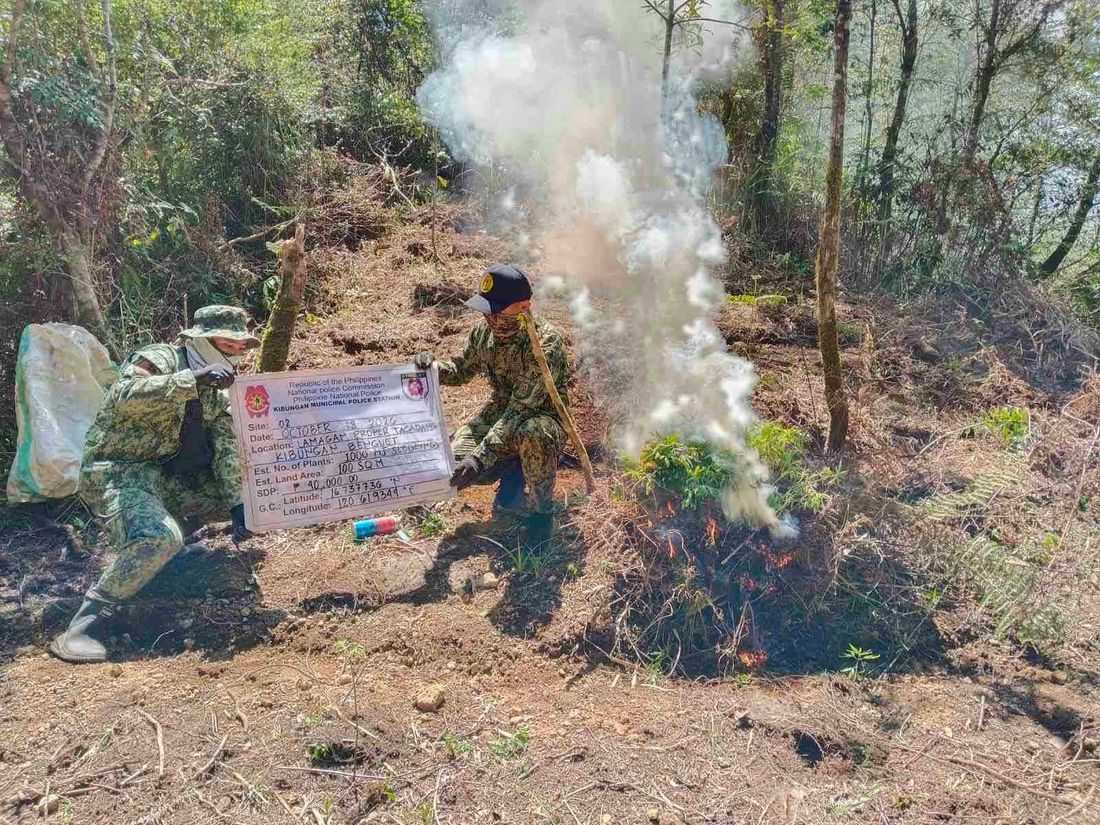 Cordillera PNP arrests 16 drug suspects, seizes ₱2.4 million in illegal drugs
