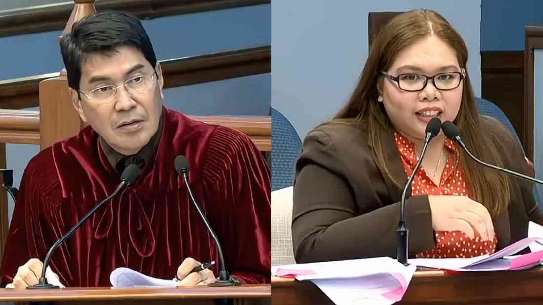 Witness: BIR records show no other income for CaLe88 apart from banana chip exports