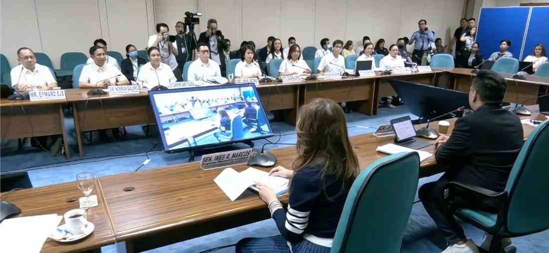 Senate panel approves OVP proposed budget for 2027