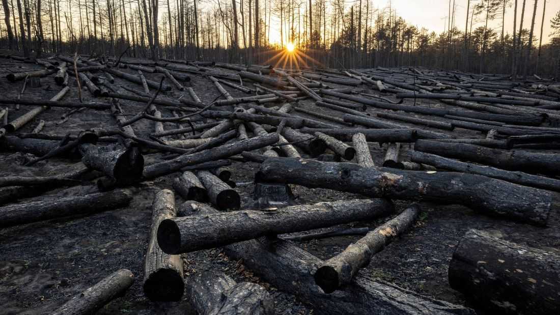 Top global climate science body suspends meeting without deal on major review timeline