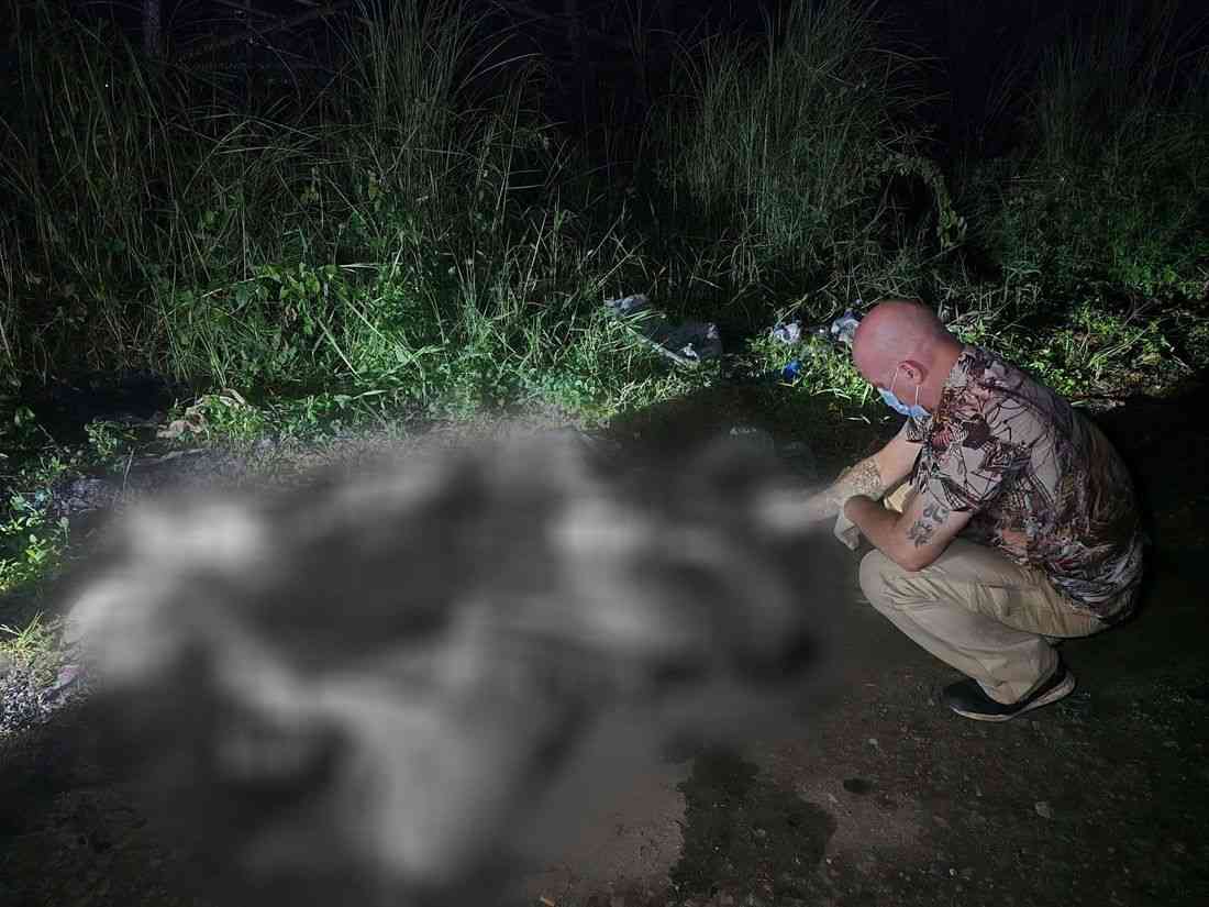 29 dead dogs, cats found in vacant lot in Bulacan
